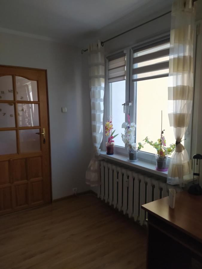 Apartament Z Widokiem Na Sniezke Jelenia Gora Luaran gambar